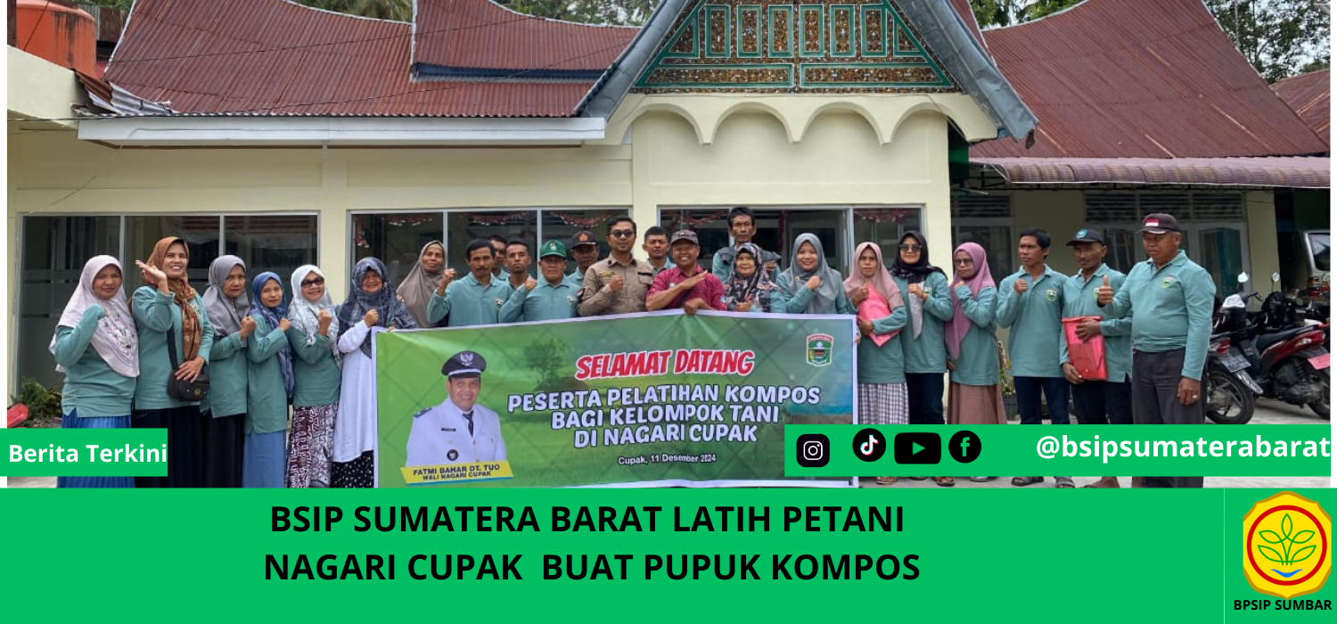 Berita BPSIP Sumatera Barat BSIP SUMATERA BARAT LATIH PETANI NAGARI CUPAK BUAT PUPUK KOMPOS